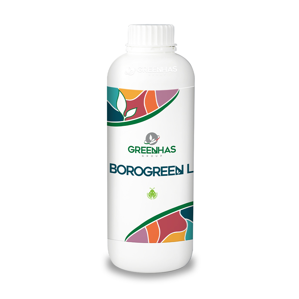Borogreen L